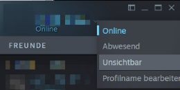 Steam offline starten