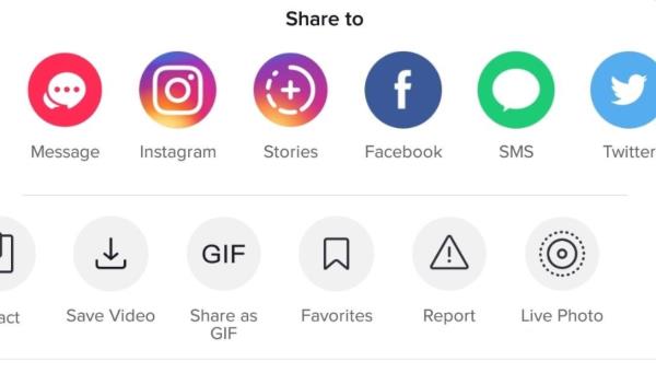 TikTok Duett mit fertigem Video