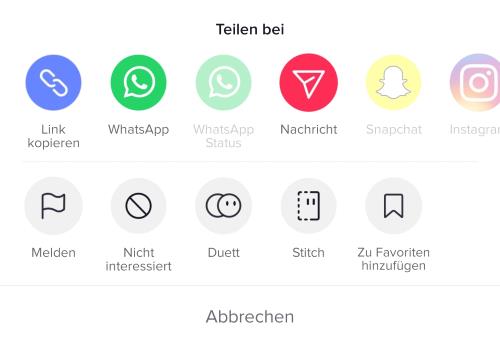 TikTok Duett aus Galerie