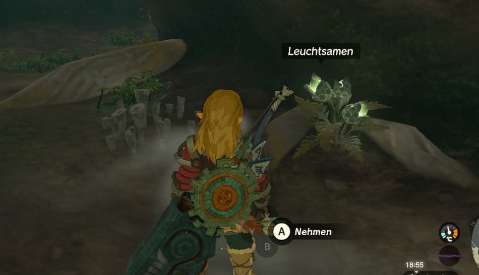 Leuchtsamen
