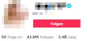TikTok Geld-Rechner