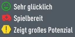 FIFA 21 Potential erkennen