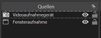 OBS Bildschirmaufnahme schwarz