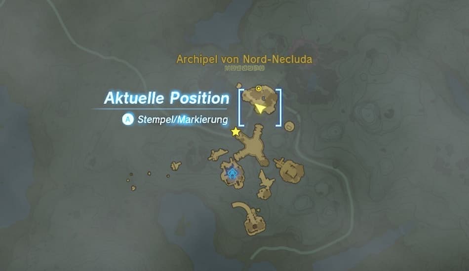Maxi Rüben finden