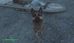 Fallout 4 Hund Fundort: Hier findest Du Dogmeat