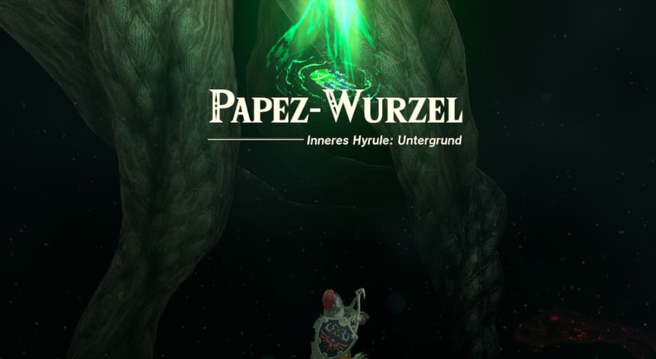 Untergrund Wurzel