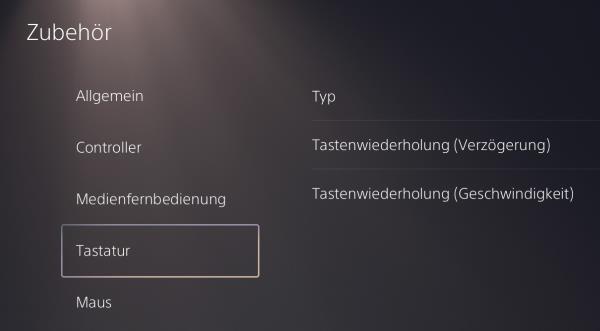 PS5 Tastatur funktioniert nicht