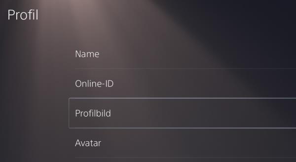 PS5 Avatar ändern
