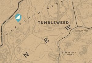 Legendärer Puma Fundort (Quelle: rdr2map.com)
