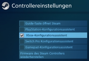 Fall Guys erkennt den Controller nicht