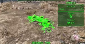 Fallout 4 Nahrung bekommen und Gemüse einpflanzen