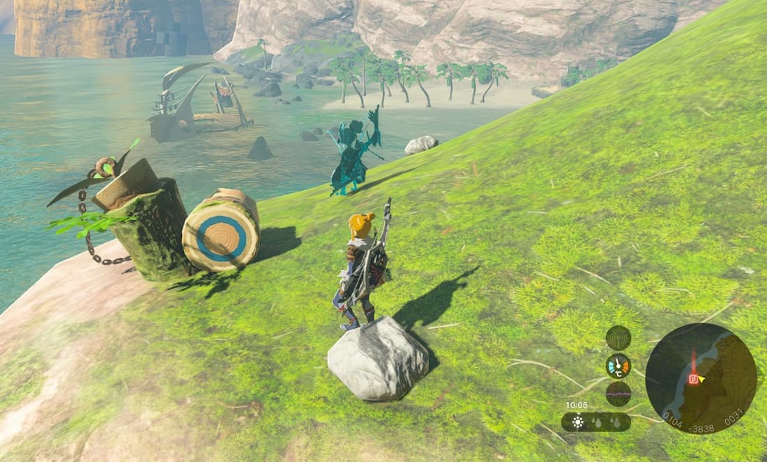 Zelda Tears of the Kingdom Korken