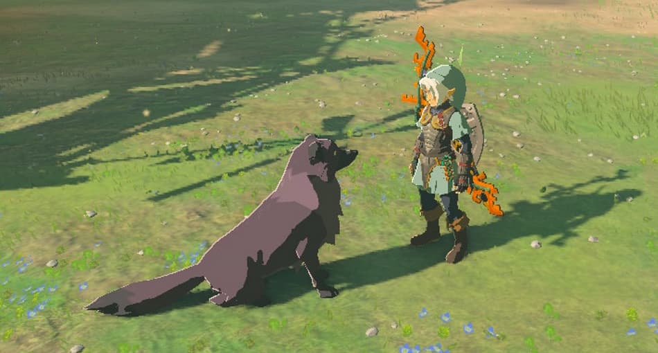 Hunde zähmen