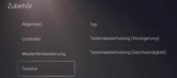 PS5 Maus Tastatur anschließen