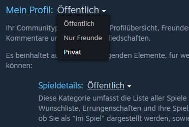 Steam Spielzeiten löschen