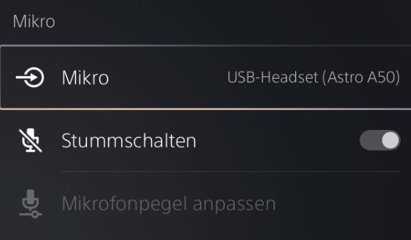 PS5 Mikrofon geht nicht