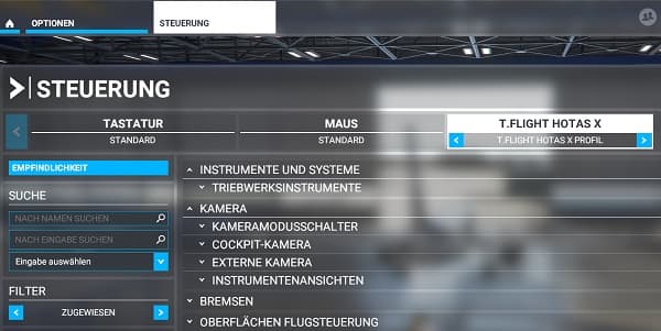 Flight Simulator 2020 Joystick einrichten