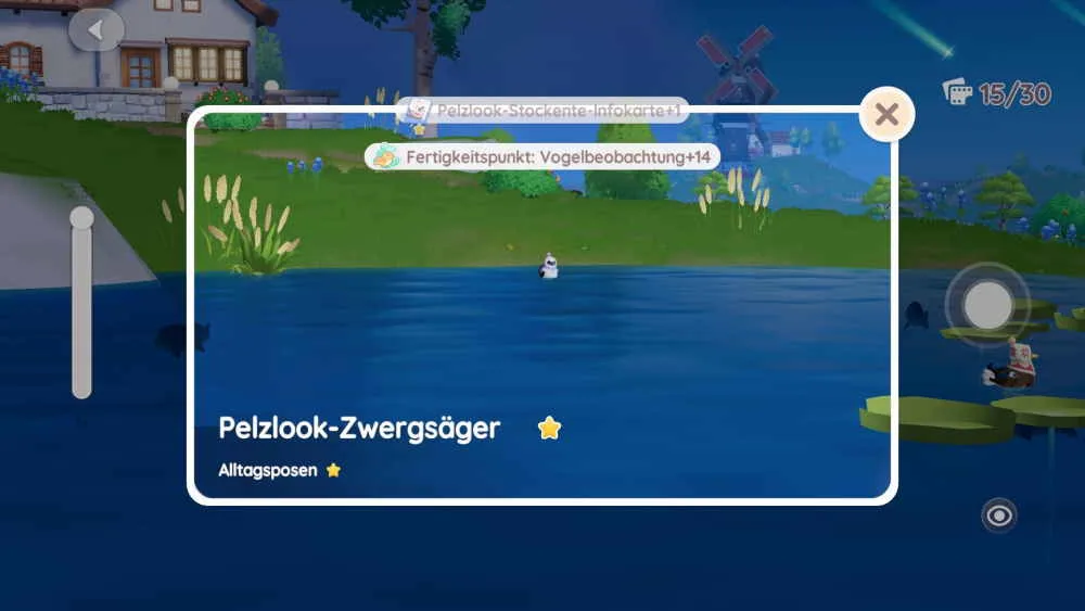 Pelzlook-Zwergsäger